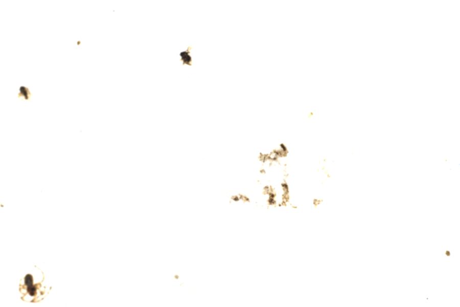 Image 77